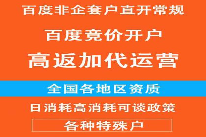 SEM优化策略：实战案例解析